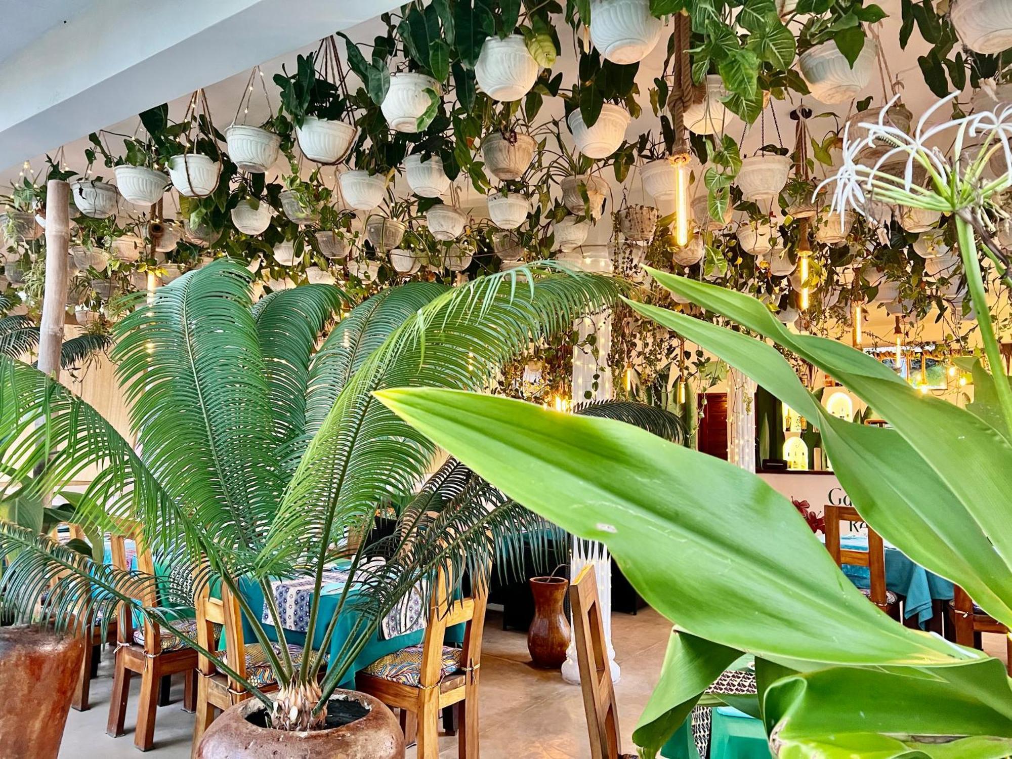 Residence Gadea&Gadea Garden Italian Restaurant Jambiani  Exterior foto